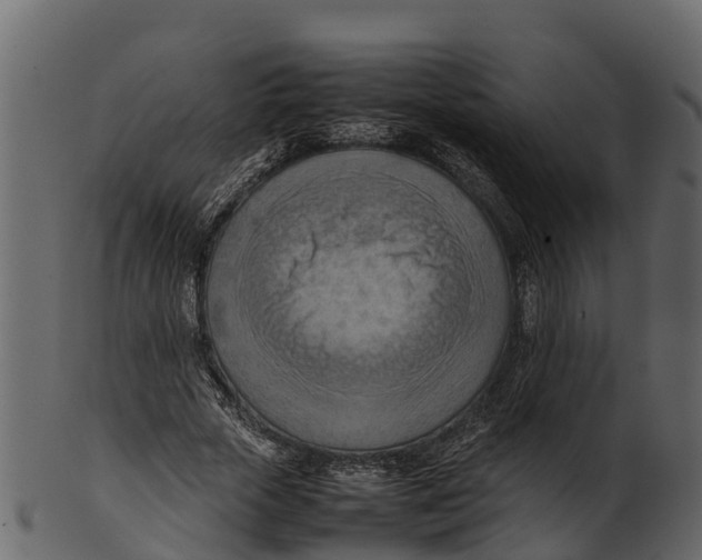 X0000100480729200807031851