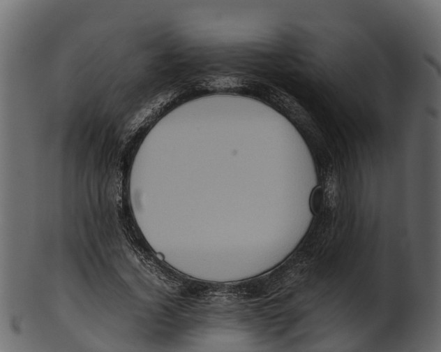 X0000100480732200807031851