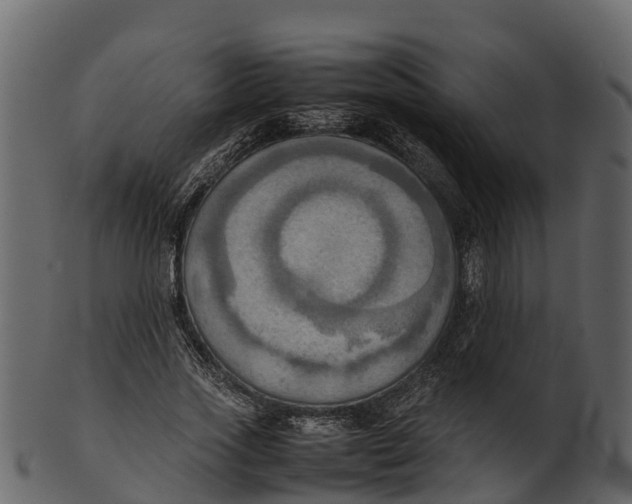 X0000100480733200807031851