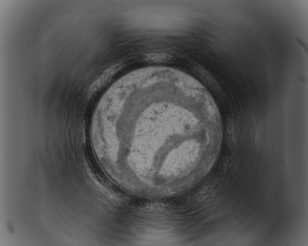 X0000100480734200807031851