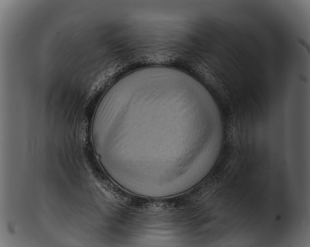 X0000100480736200807031851