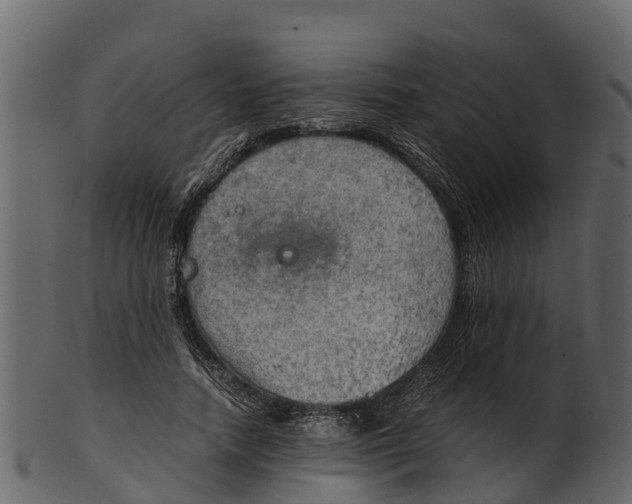 X0000100480738200807031851