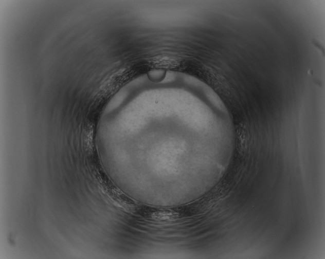 X0000100480745200807031851