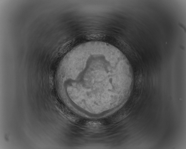 X0000100480749200807031851