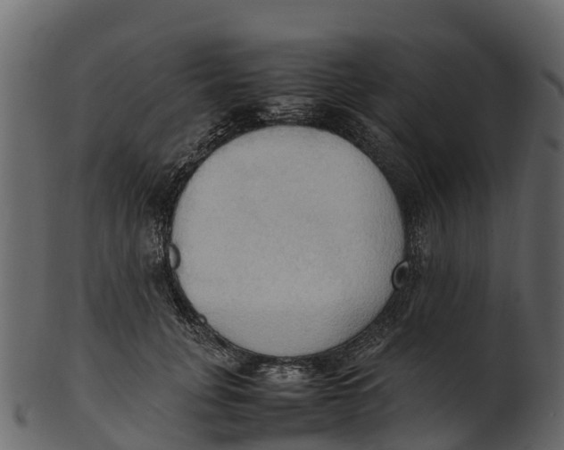 X0000100480751200807031851