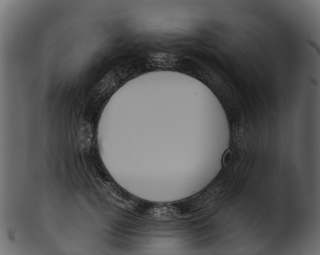 X0000100480752200807031851