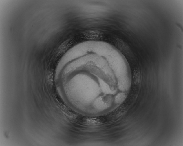 X0000100480753200807031851