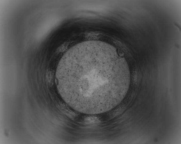 X0000100480759200807031851