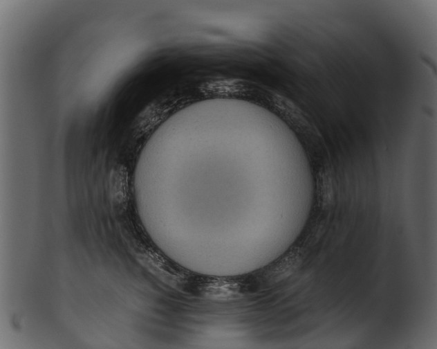 X0000100480760200807031851