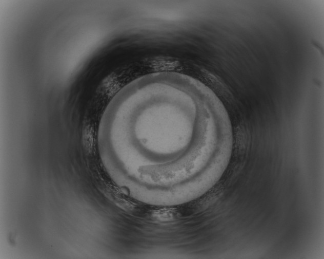 X0000100480761200807031851