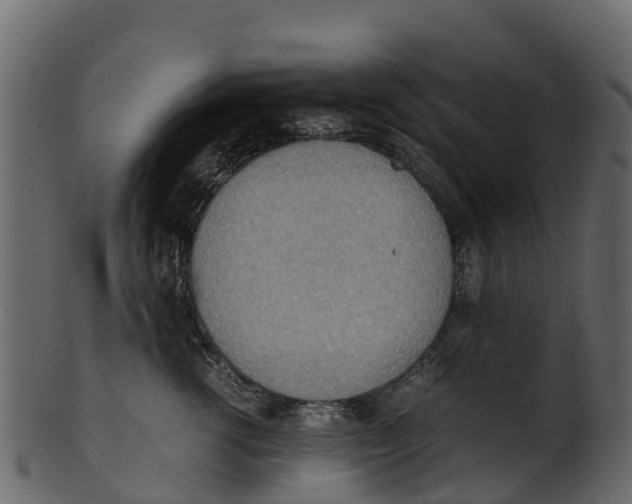 X0000100480762200807031851