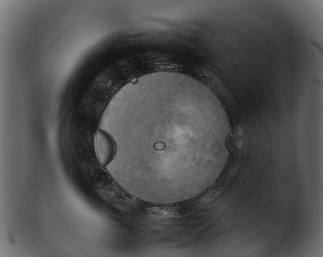 X0000100480763200807031851