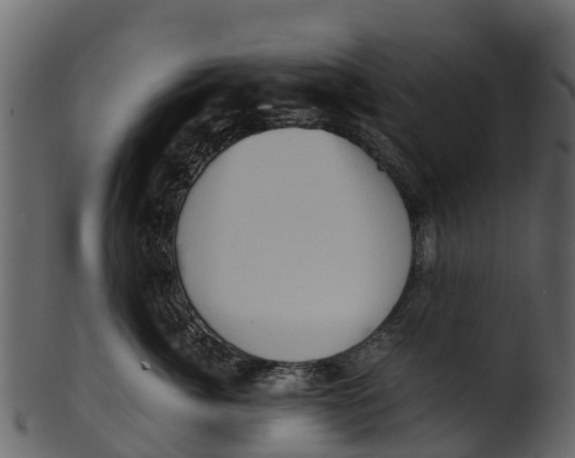 X0000100480764200807031851