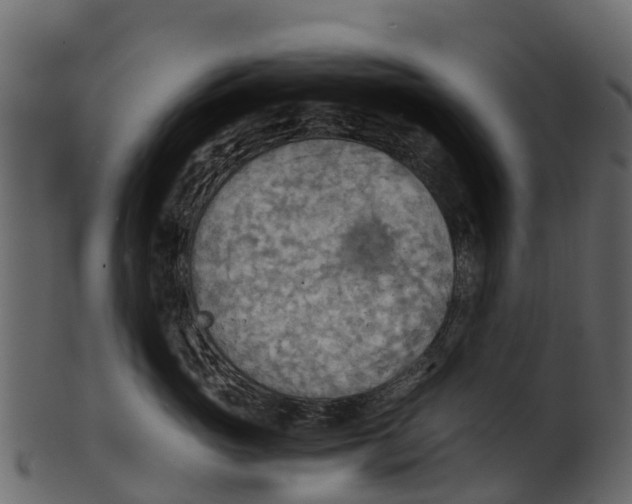 X0000100480765200807031852