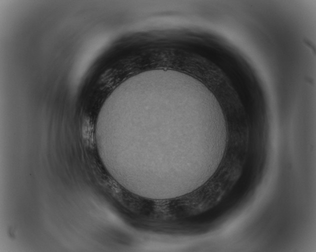 X0000100480766200807031852