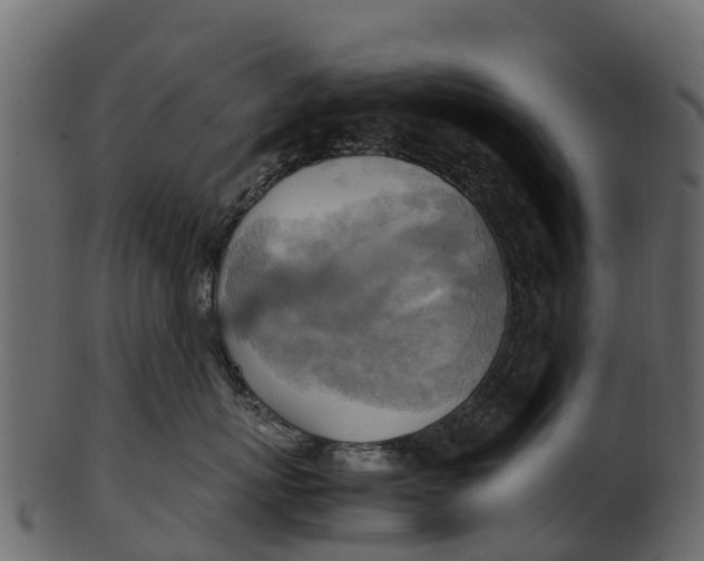 X0000100480767200807031852