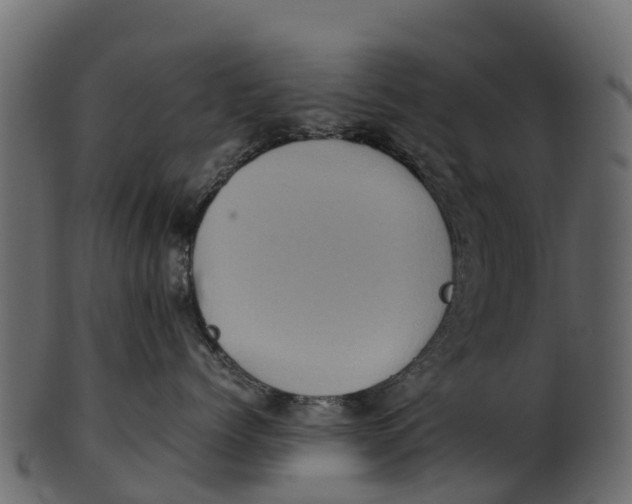 X0000100480768200807031852