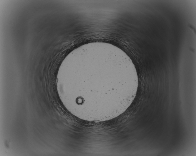 X0000100480769200807031851