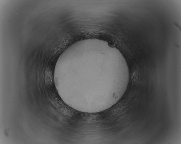 X0000100480772200807031851