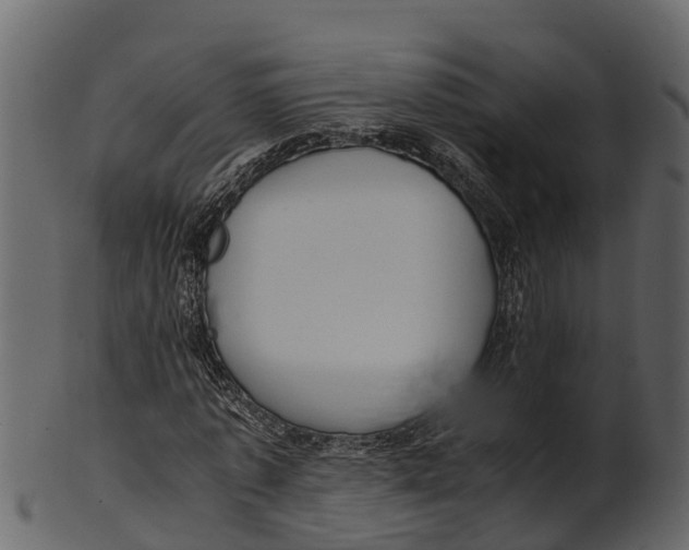 X0000100480773200807031851