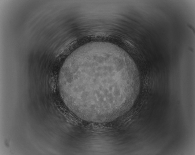 X0000100480774200807031851