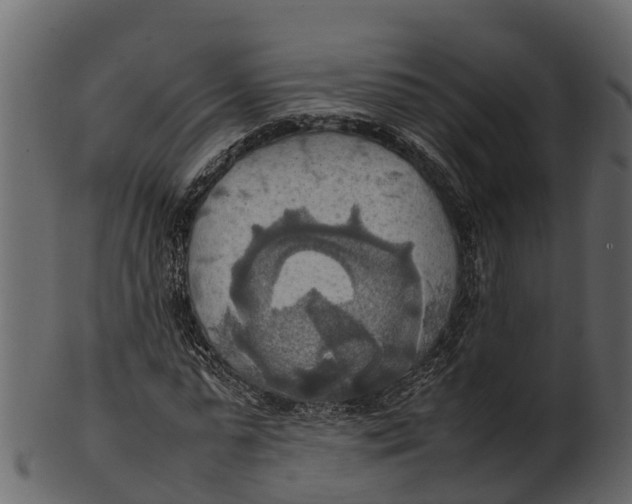 X0000100480775200807031851