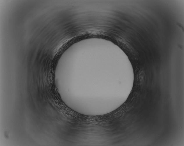 X0000100480776200807031850