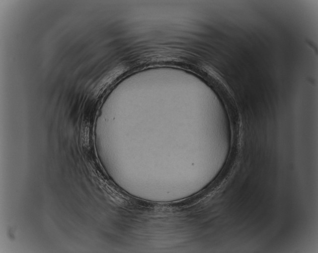 X0000100480777200807031850