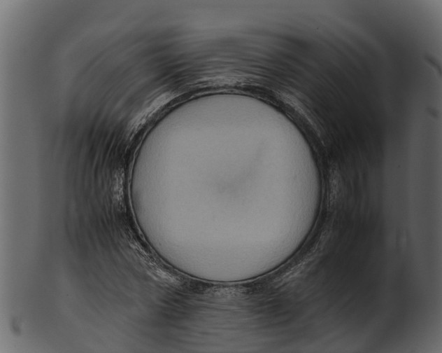 X0000100480778200807031850