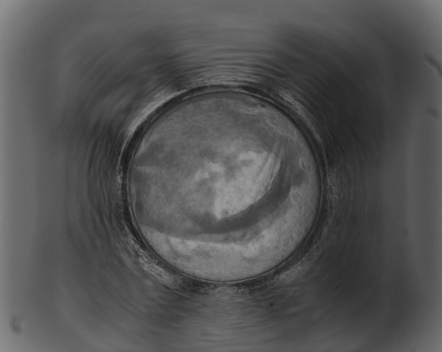 X0000100480779200807031850