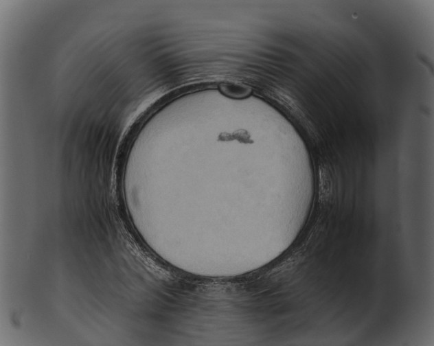 X0000100480780200807031850