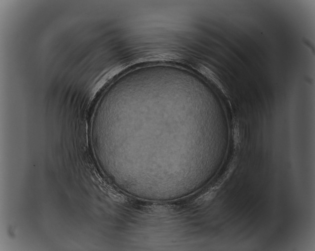 X0000100480781200807031850