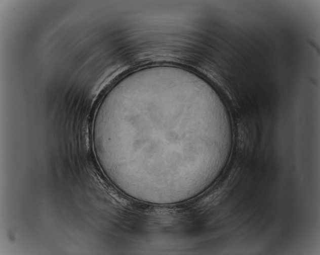 X0000100480782200807031850