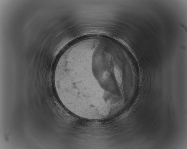 X0000100480783200807031850