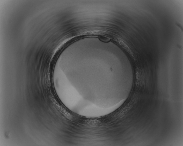 X0000100480784200807031850