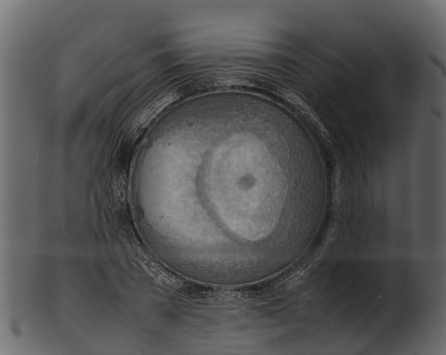 X0000100480785200807031850