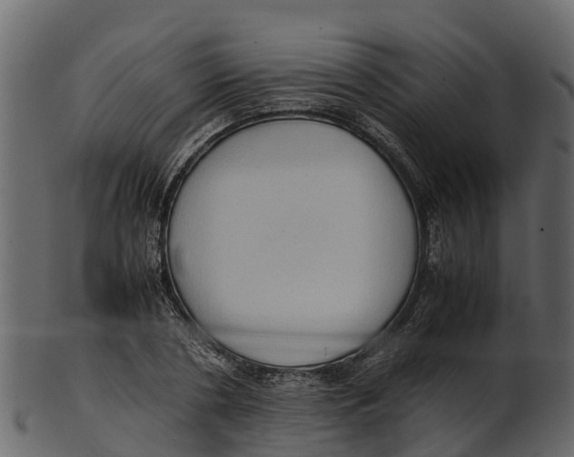 X0000100480786200807031850