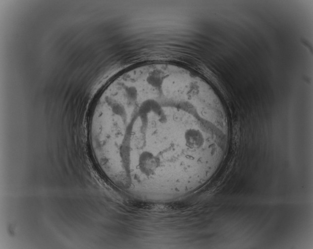 X0000100480787200807031850