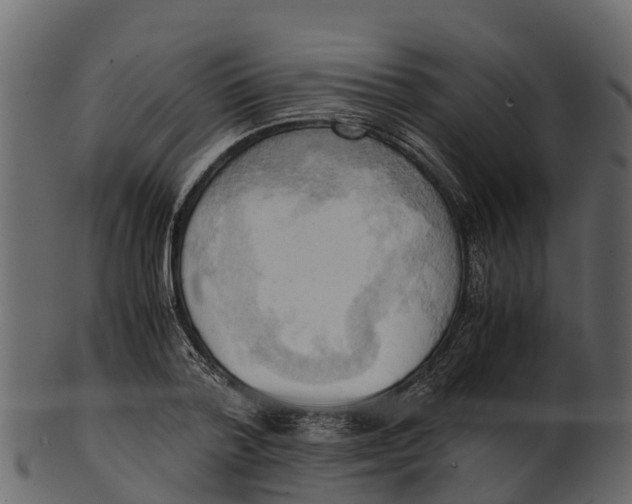 X0000100480788200807031850