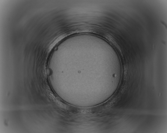 X0000100480789200807031850