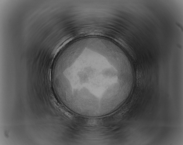 X0000100480790200807031850