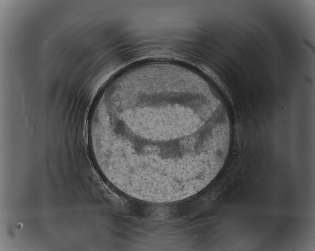 X0000100480791200807031850