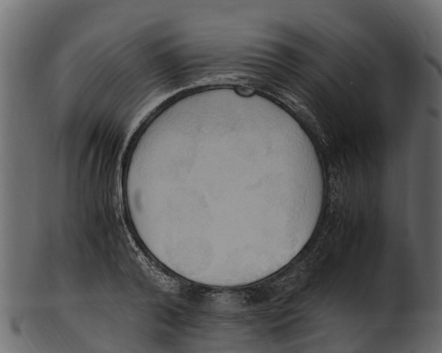 X0000100480792200807031850