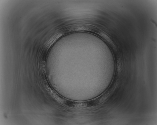 X0000100480793200807031850