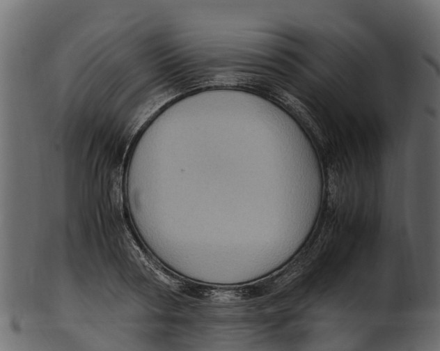 X0000100480794200807031850