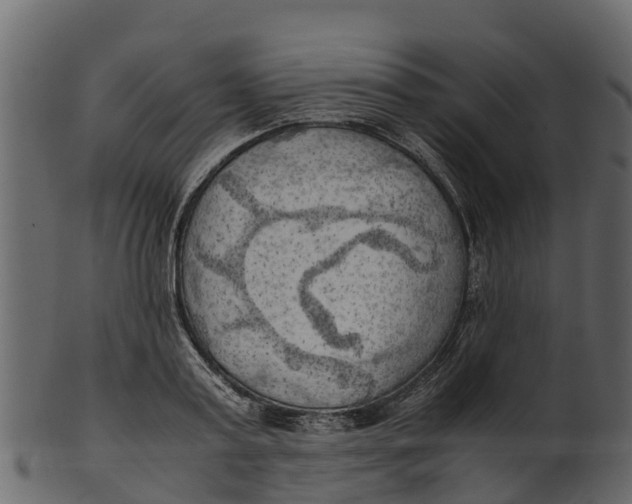 X0000100480795200807031850