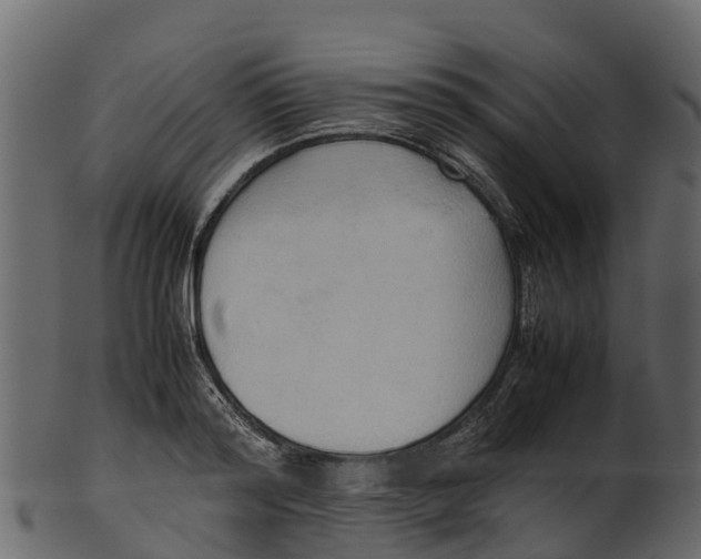 X0000100480796200807031850