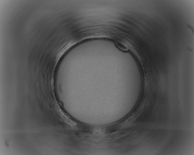 X0000100480797200807031850