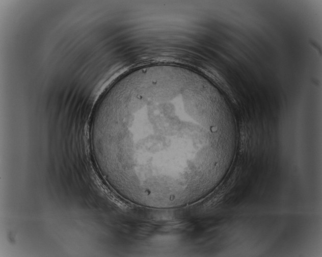 X0000100480798200807031850