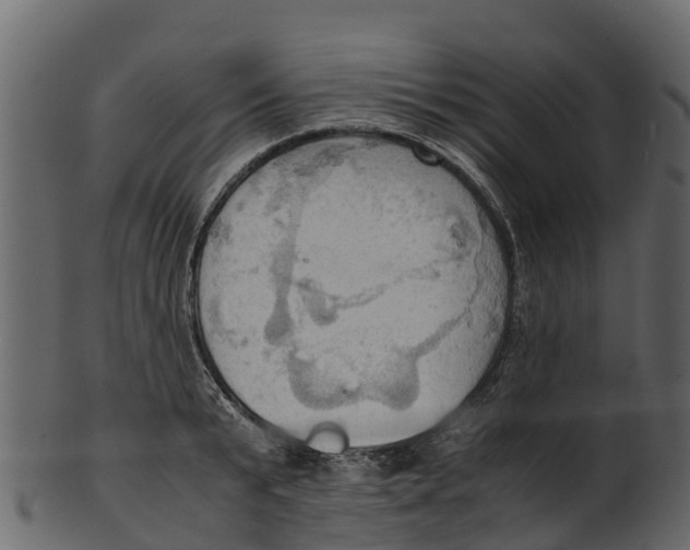 X0000100480799200807031850